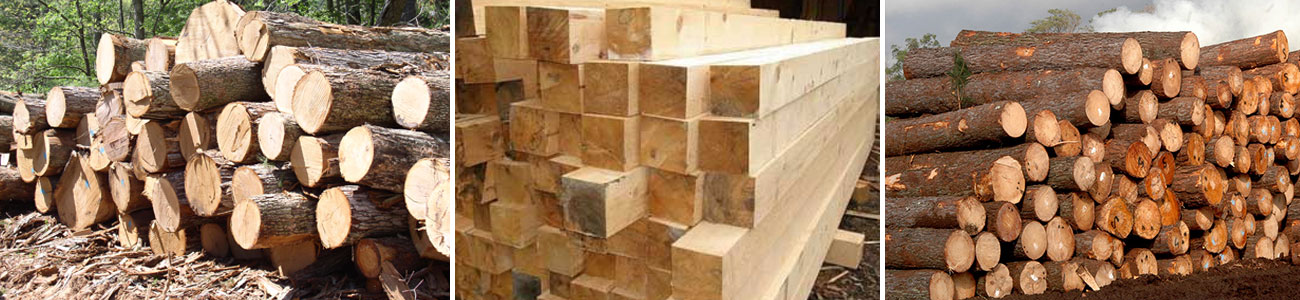 Timber / Lumber