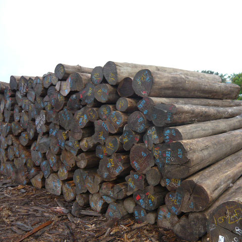 Timber / Lumbers